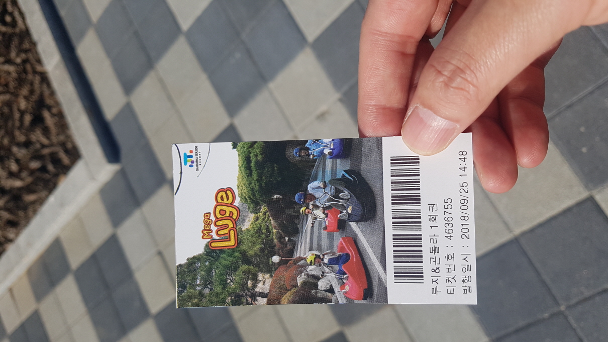 ticket for Luge in Ganghwado