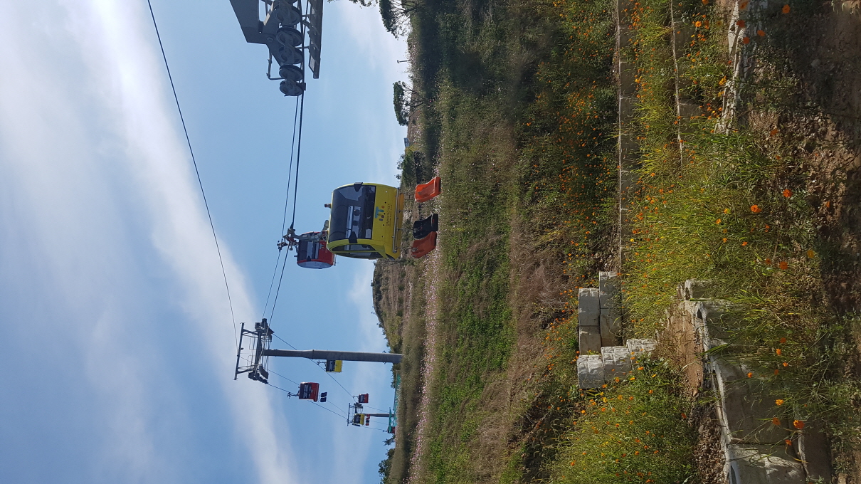 Gondola for Luge