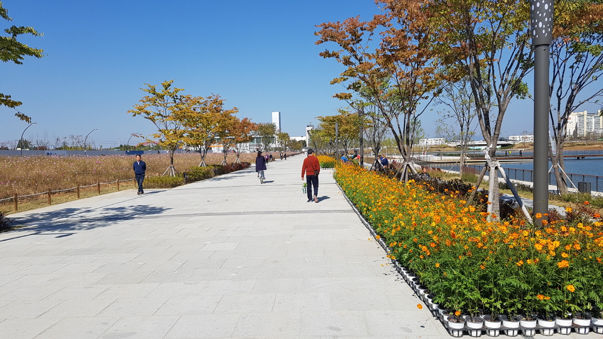 Seoul-Botanic-park-flowers
