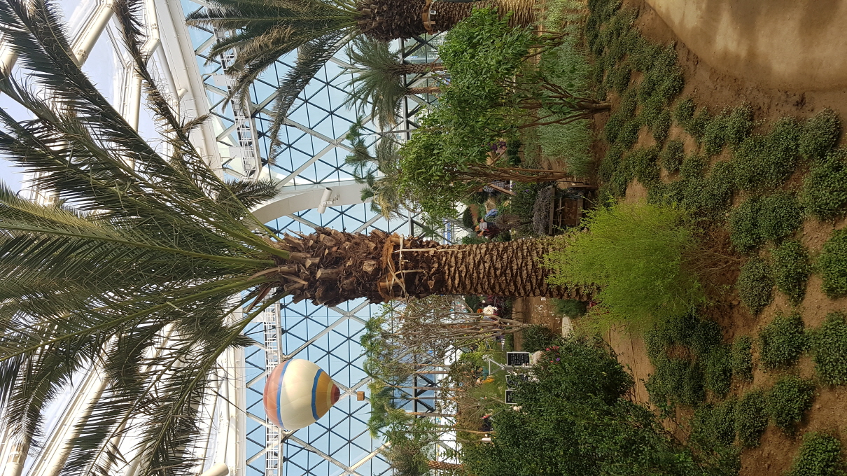 Seoul-Botanic-park-international-plants