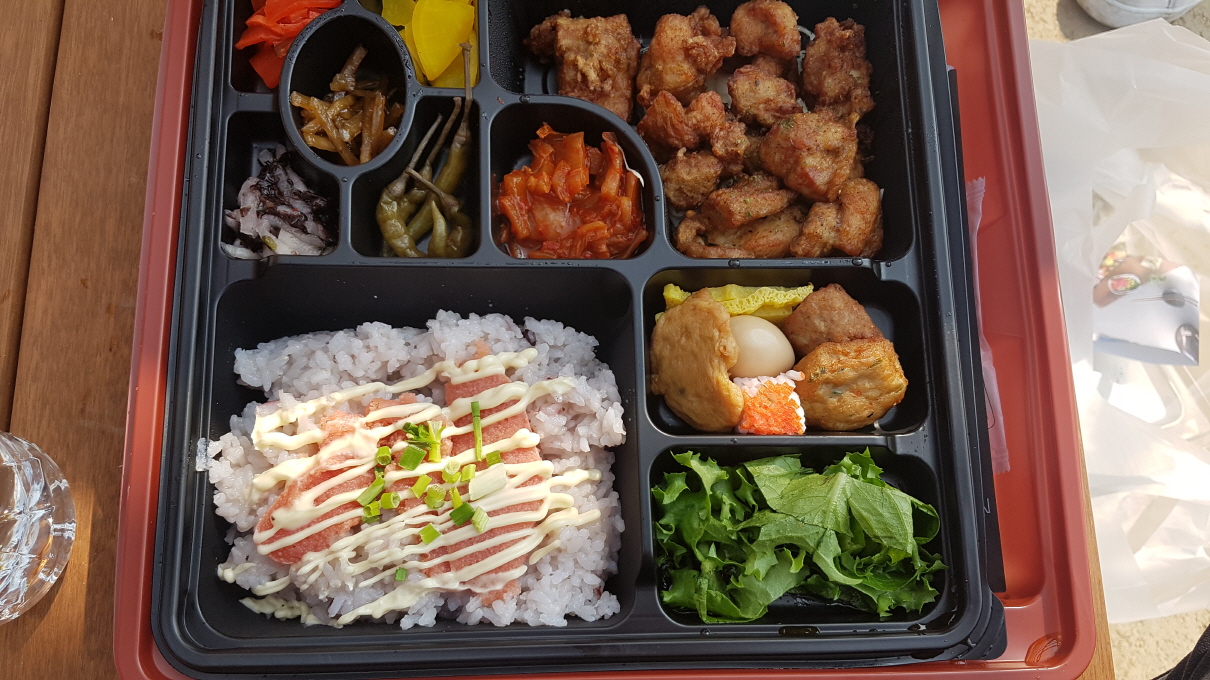 Seoul-Botanic-park-yummy-lunch